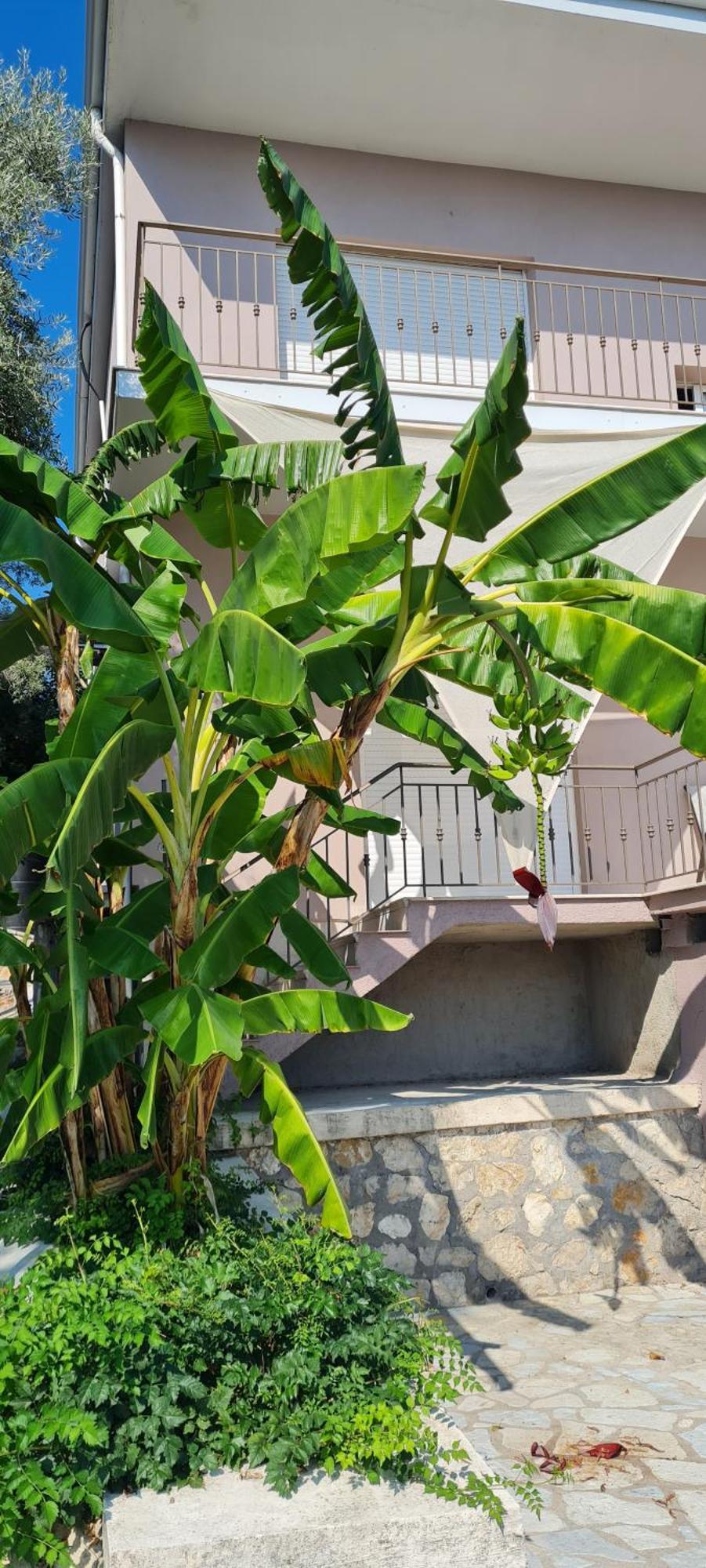 Gerys House Apartment Nikiana Ngoại thất bức ảnh